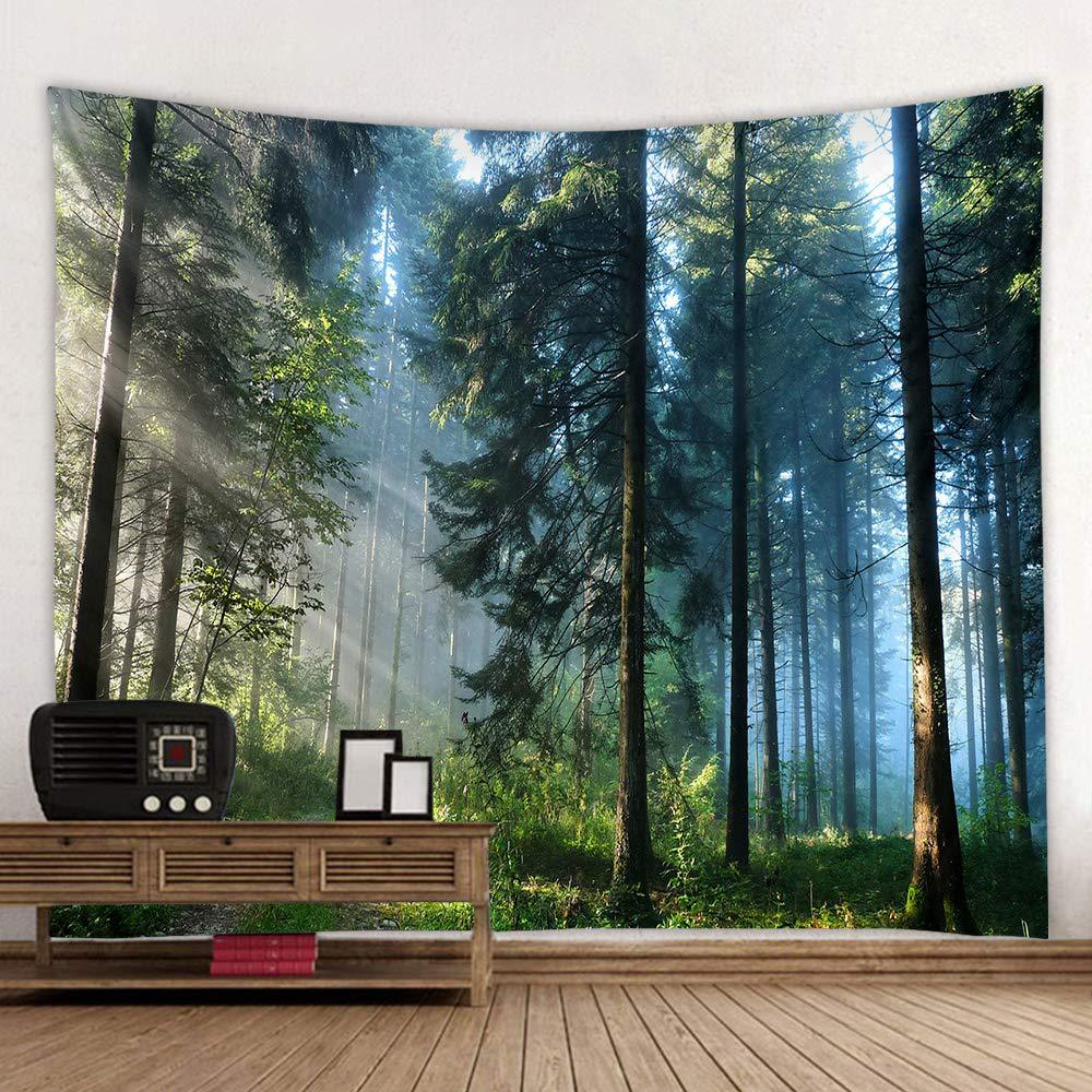 VIKAMA Outdoor-Abenteuer Natur – Outdoor Adventure Background Bewertung und Preis